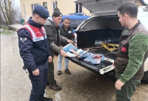 Kırklareli&rsquo;de yasa dışı karaca avına ağır ceza

