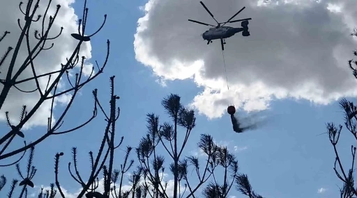 Kırklareli&rsquo;deki orman yangını s&ouml;nd&uuml;r&uuml;ld&uuml;: 35 dekar alan zarar g&ouml;rd&uuml;
