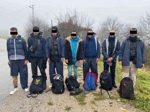 Kırklareli’nde 9 kaçak göçmen yakalandı