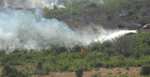 Kırklareli’nde ağaçlık alanda yangın: 150 dekar alan zarar gördü
