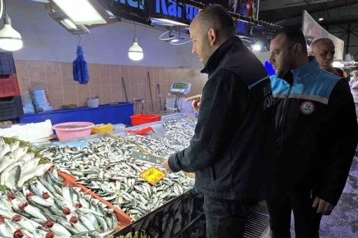 Kırklareli&rsquo;nde balık tezgahları mercek altında
