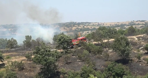 Kırklareli’nde ceviz bahçesi ve orman alanında yangın

