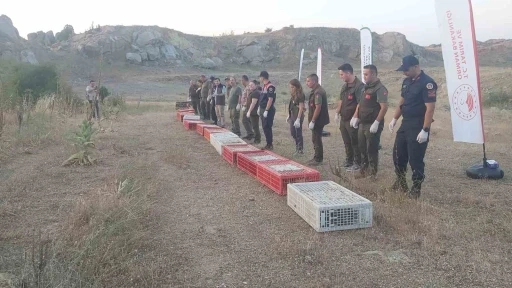Kırklareli’nde doğaya keklik salındı
