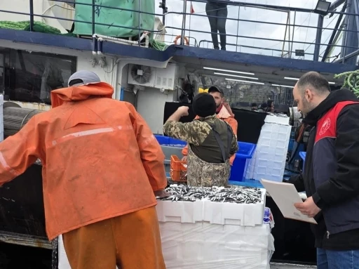 Kırklareli&rsquo;nde hamsi avcılığına sıkı denetim: 15 milyon 270 bin 699 kilogram hamsi karaya &ccedil;ıkarıldı
