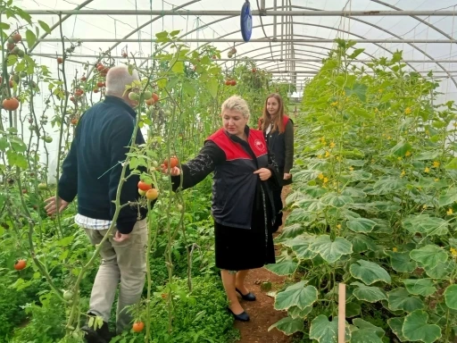 Kırklareli’nde sera kontrolleri
