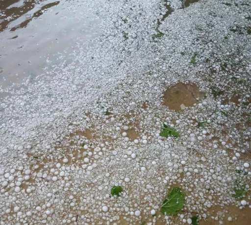 Kırklareli&rsquo;nde şiddetli dolu yağışı: K&ouml;y ve &ccedil;evresi beyaz &ouml;rt&uuml;yle kaplandı
