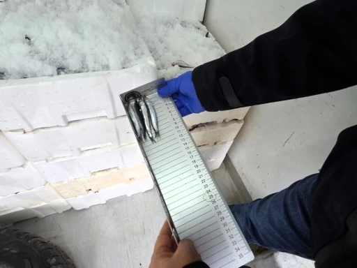 Kırklareli&rsquo;nde su &uuml;r&uuml;nleri denetimi
