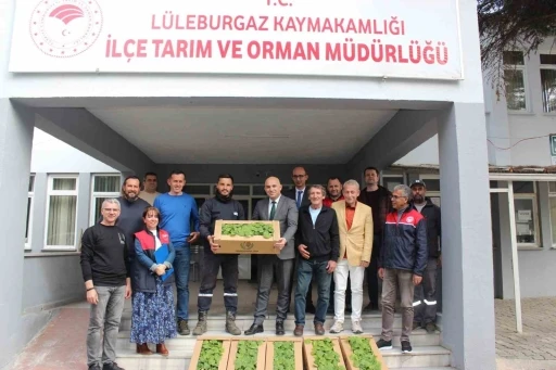 Kırklareli’nde üreticilere hıyar fidesi dağıtıldı
