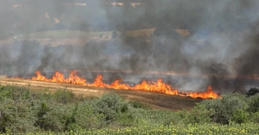 Kırklareli’nde yangın: 500 dekar tarım arazisi ve ağaçlık alan zarar gördü

