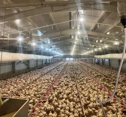 Kırsalda &uuml;retime 33,6 milyon liralık can suyu
