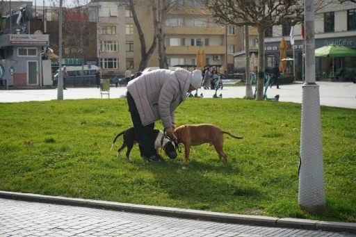 Kış ortasında sonbahar havası
