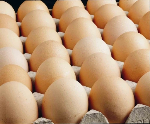 Kişi başına d&uuml;şen yumurta &uuml;retimi 15 adet azaldı