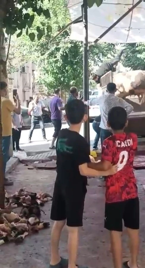 Kızgın boğa kasaba hayatının kabusunu yaşattı
