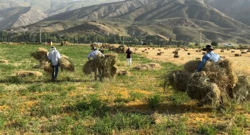 Kızgın güneş altında ekmek mücadelesi
