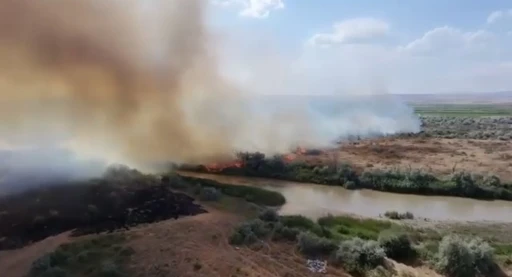Kızılırmak Nehri &ccedil;evresinde korkutan &ouml;rt&uuml; yangını
