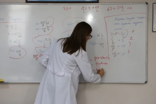 KO-MEK’ten 7 farklı dilde kariyer desteği
