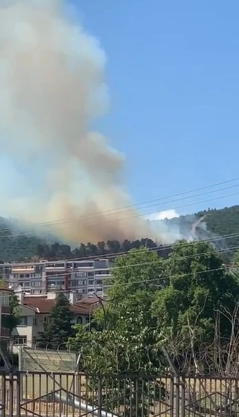 Kocaeli’de orman yangını çıktı
