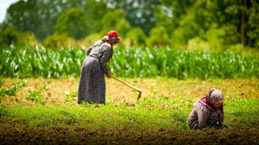 Kocaeli&rsquo;de tarım ve hayvancılığa 7 yılda 1,5 milyar lirayı aşkın destek sağlandı

