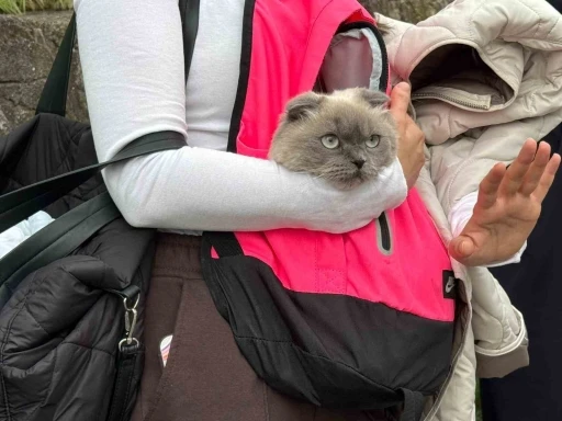 Kocaeli&rsquo;de toprak kayması nedeniyle 5 bina tahliye edildi
