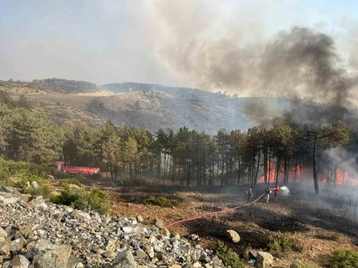 Kocaeli’den Bursa’daki orman yangınına söndürme desteği
