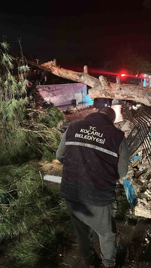 Koçarlı’da belediye ekiplerinden yağış ve fırtına mesaisi

