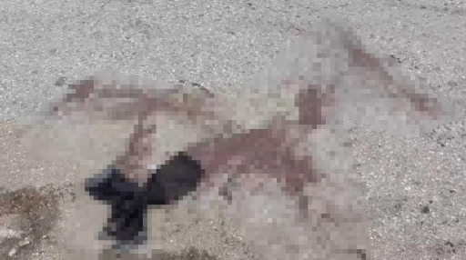 Komşu iki esnaf sopalar ile birbirine girdi: 7 yaralı
