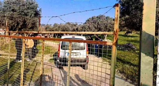 Komşuların Dikkati, Korkunç Gerçeği Ortaya Çıkardı