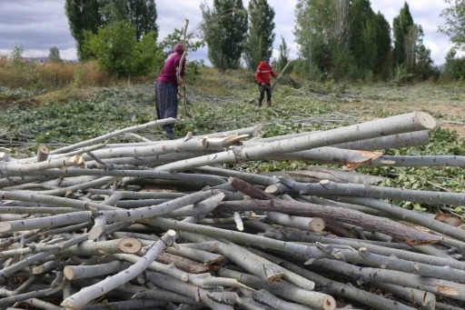 K&ouml;m&uuml;r pahalı, odun umut: Erzincan kırsalında kış mesaisi

