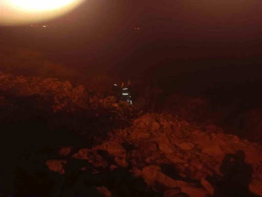 Kontrolden &ccedil;ıkan otomobil g&ouml;l kenarına u&ccedil;tu: 1 yaralı
