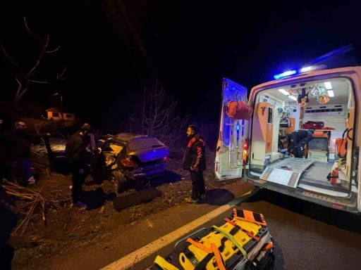 Kontrolden &ccedil;ıkan otomobil tarlaya girdi, s&uuml;r&uuml;c&uuml; yaralandı
