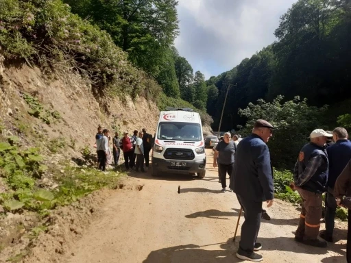 Kontrolden çıkan pat pat, dereye devrildi: 2 yaralı
