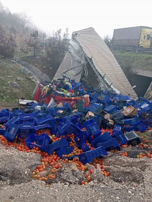 Kontrolden çıkan sebze yüklü tır devrildi: 1 yaralı

