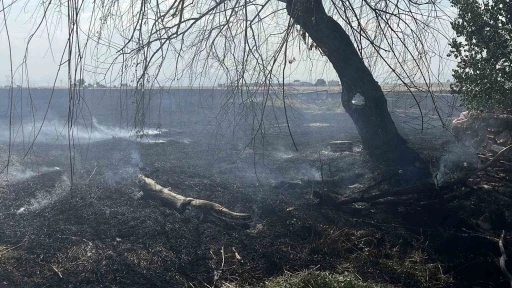 Konya&rsquo;da anız yangını paniği
