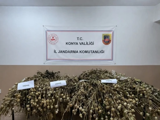Konya&rsquo;da jandarmadan uyuşturucu operasyonları: 5 tutuklama
