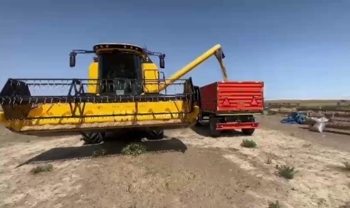 Konya’nın Kulu ilçesinde ekilen arpa zamanından 3 hafta önce hasat edildi
