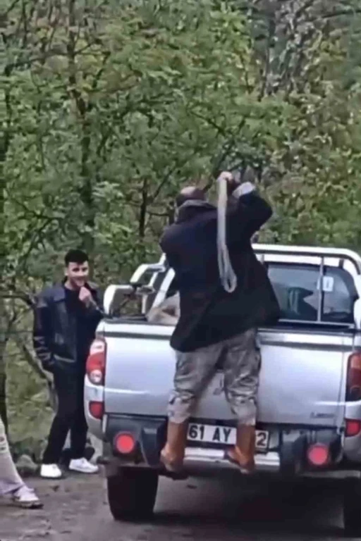 Köpeğe halatla şiddet uygulayan şahıs gözaltına alındı
