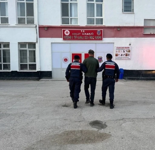 K&ouml;peği av t&uuml;feği ile vurarak &ouml;ld&uuml;ren şahıs tutuklandı