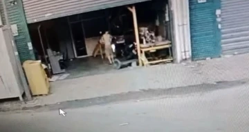 Köpeği kovaladı, güvenlik kamerasına ateş etti, dans ederek iş yerini kundakladı

