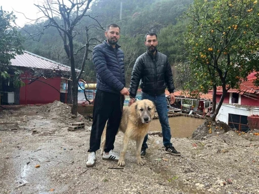 K&ouml;peğini sel sularından kurtaran sahibi o anları anlattı
