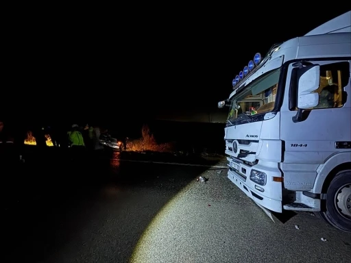 K&ouml;pekler nedeniyle otoyolda can pazarı
