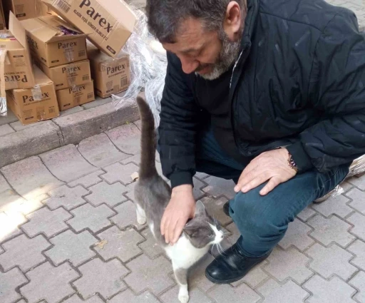 K&ouml;peklerden ka&ccedil;an kedinin imdadına itfaiye yetişti
