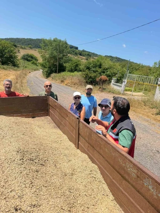 K&ouml;rfez&rsquo;de ata tohumu siyez buğdayında ilk hasat

