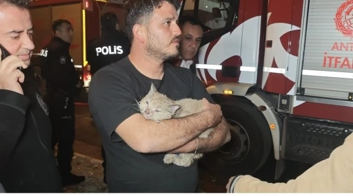 Korkutan yangında mahsur kalan kediyi itfaiye kurtardı
