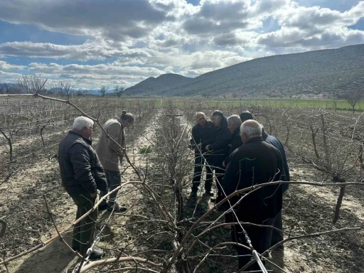 Korkuteli&rsquo;nde &ccedil;ift&ccedil;ilere budama eğitimi
