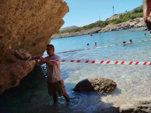 Datça'da Kıyıya Vuran Fok Doğaya Geri Döndü