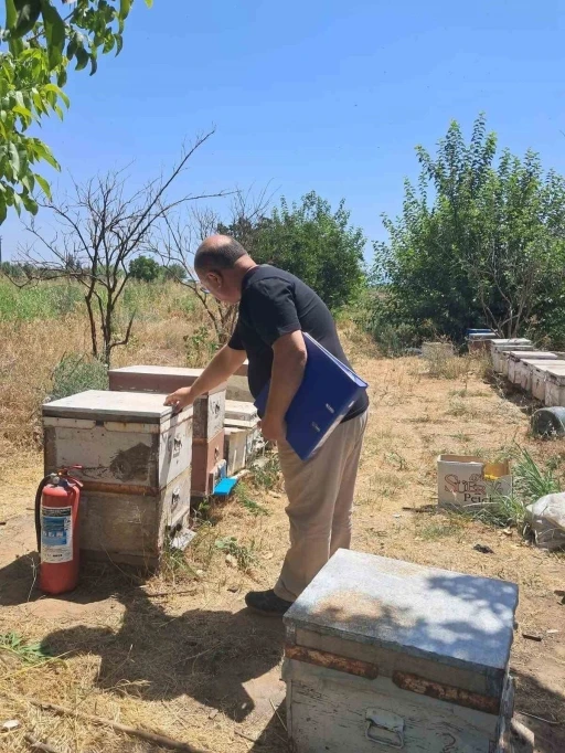 K&ouml;şk&rsquo;te arılı kovan tespit &ccedil;alışmaları s&uuml;r&uuml;yor
