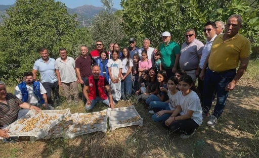 Köşk’te gönüllü hasat şenliği gerçekleştirildi
