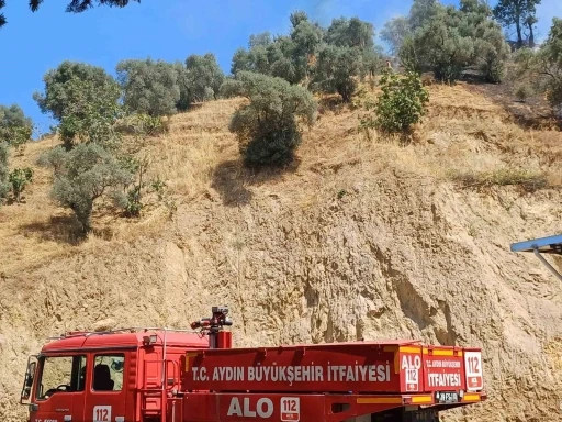 Köşk’teki zirai alan yangını kontrol altına alındı

