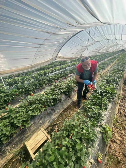 K&ouml;şk&rsquo;ten Sultanhisar&rsquo;a &ccedil;apraz denetim
