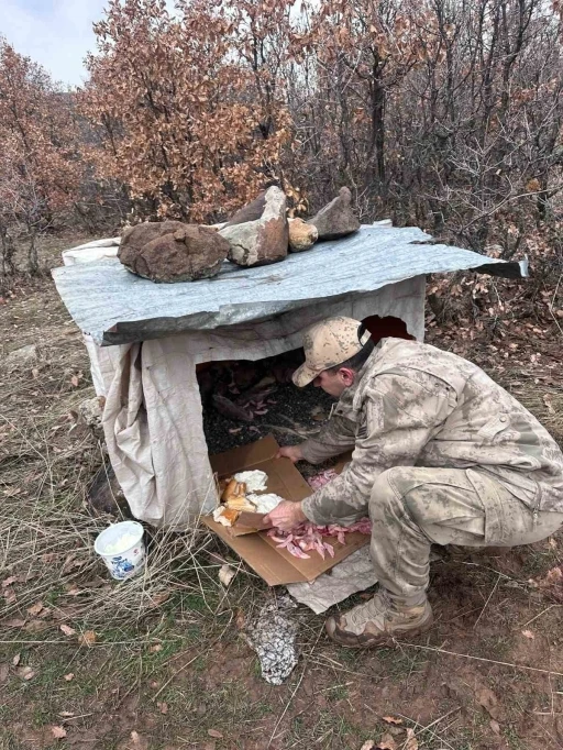 K&ouml;y yoluna bırakılan yavru k&ouml;peklere jandarmandan şefkat eli
